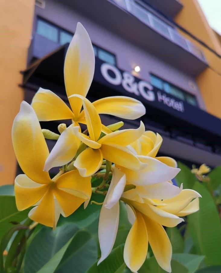 O&G Hotel Parit Buntar Exterior foto